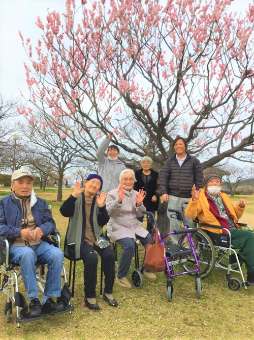 梅園 神崎 神崎梅園とシフォンケーキ